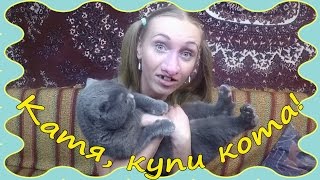 Как продать кота быстро / Катя, купи кота! //