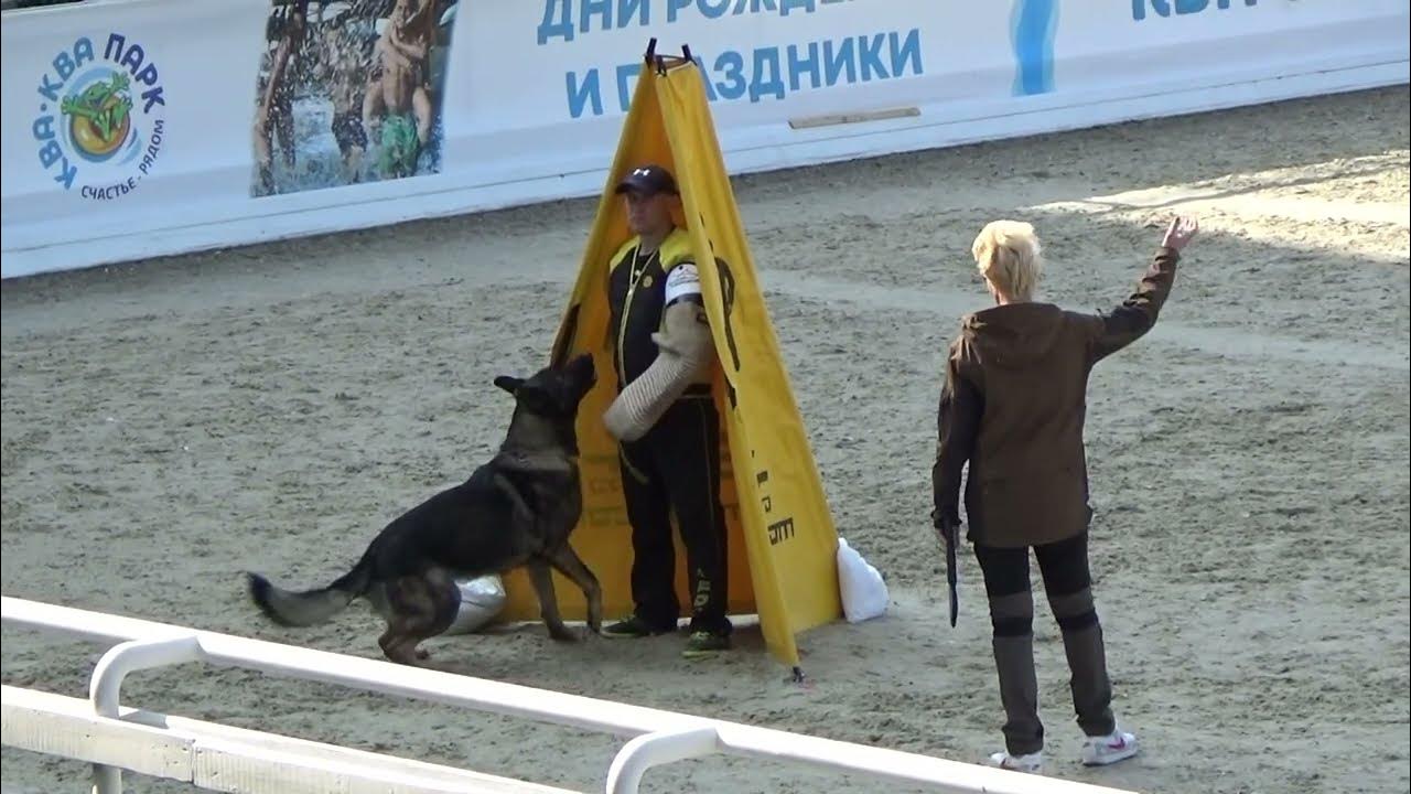 Юля фом. Юля фом