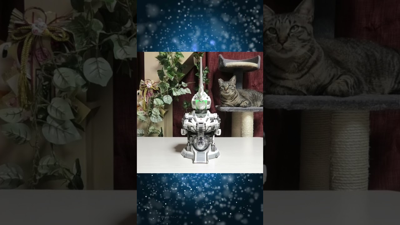 自動変形するユニコーンガンダムを初めて見た猫の反応がコチラ 