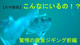 【水中動画】船の下は根魚の巣窟だった！？驚愕の根魚ジギング水中動画前編！！