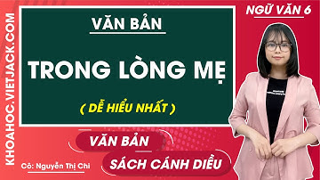 Trong lòng mẹ | Ngữ văn lớp 6 - Cánh diều (DỄ HIỂU NHẤT)