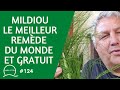 124mildiou le meilleur remde du monde ou presque  et gratuit 