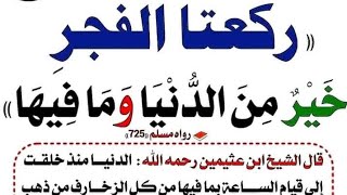 حل أسئلة longman يونيت 2 تالتة اعدادي ترم اول ٢٠٢٤ - مستر شادي نصر