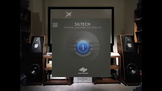 01. Pink Panther theme 粉紅豹/ Plas Johnson(蔡克信醫師測試音響用的曲目)