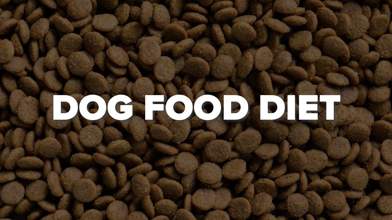 How a 'Dog Food Diet' Can Help Improve Your Health - YouTube