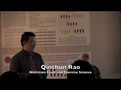 Research and Creativity 2009
