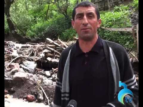 სტიქიისგან დაზარალებული სოფლები ბორჯომში