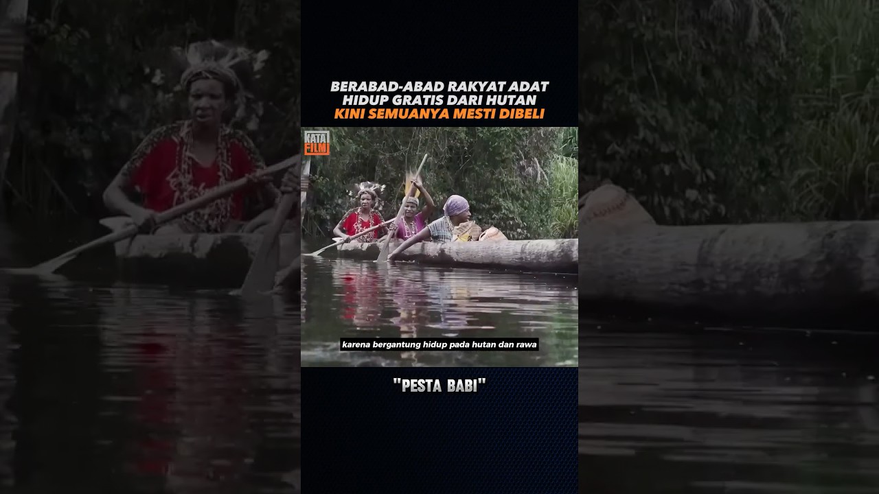 Ketika hutan sumber pangan punah jadi sawah #filmreview #pestababi #hutan #papua #viral