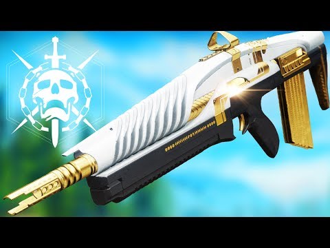 The Raid Pulse Rifle Is SUPER Consistent - Trying Out The Inaugural Address