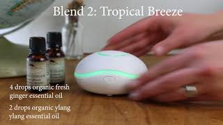 DIY Essential Oil Blends for Summer