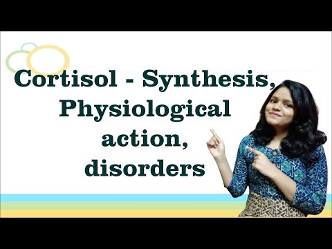 Cortisol- Synthesis, Regulation, Physiological actions, Disorders I Adrenal I Endocrine Physiology