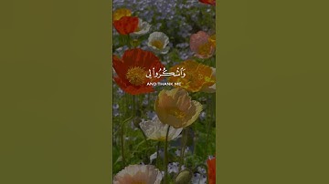 فاذكروني أذكركم واشكروا لي ولا تكفرون [البقرة: ١٥٢] القارئ #نعمه_الحسان