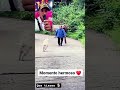 el 🐕 mas fiel de todo el mundo,miren que hermoso ♥️ #viral #animals #perritos #shortvideo #shorts