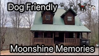 Dog Friendly Amazing cabin In The Heart of The Smoky Mountains Must See &  Budget Friendly !🐩🐄