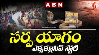 సర్ప యాగం || ABN Special Story On Natural Medicine For Snake Bites At Gambhiraopet || ABN Telugu