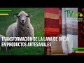 Transformación de la Lana de Oveja en Productos Artesanales - TvAgro por Juan Gonzalo Angel