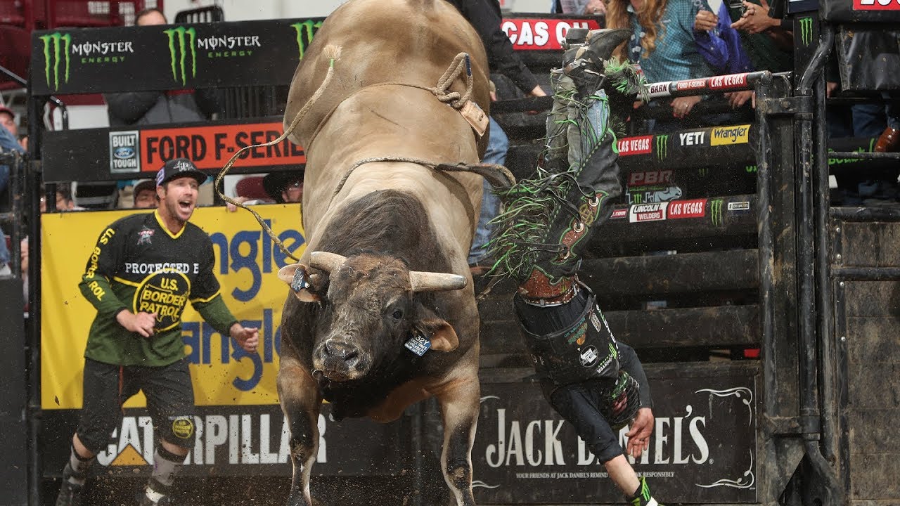 3x World Champion Bucking Bull Bruiser's Top Outs of 2019 YouTube