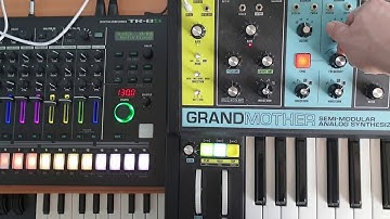 Microfreak Grandmother Tr8s