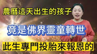 農曆這幾天出生的孩子竟是佛界靈童轉世此生專門投胎來報恩的#風水 #佛教 #命理