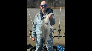 Early Spring Striper Fishing on Kerr Lake (with tips to locate & catch bait with a taped castnet)