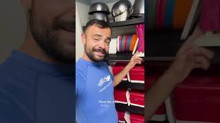 What Do Dolphin Quest Dolphins Eat?