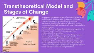 Teori Promosi Kesehatan   Transtheoritical Model dan Social Cognitive Theory