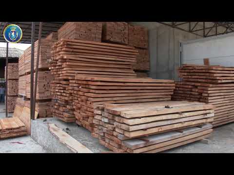 ხე-ტყის გადამამუშავებელ 39 საწარმოში საგამოძიებო მოქმედებები მიმდინარეობს