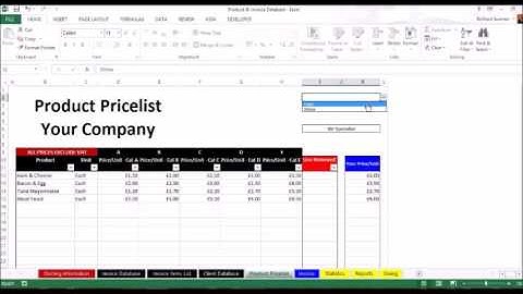 Product & Invoice Database Demo Video