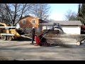 video-2010-michael poor one man tree service