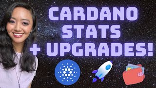 Cardano Stats + Wallet Upgrade!