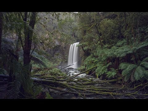 Tamron 17-28mm f2.8 & Sony a7iii 4K HLG Enchanting forest review