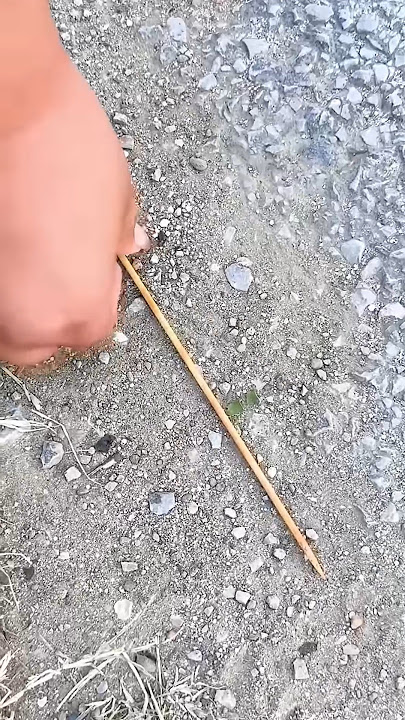 Kind baby eats skewered candy and funnyending#shorts