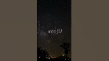 #تلاوات #آيات #القرآن_الكريم #قرآن #تلاوة #قران_كريم #تلاوات_خاشعة #قران #تلاوة_خاشعة #القرآن #quran