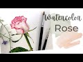 WATERCOLOR ROSE TUTORIAL - botanical art