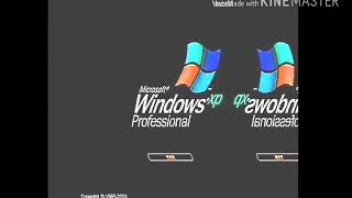 TYP Windows XP in Responsedosered Major