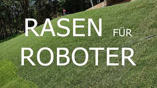 Vom Hügel zum perfekten Rasen in 1 Woche: Professionelle Vorbereitung für den Mähroboter-Vergleich