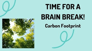 Carbon Footprint | "Reducing Your Carbon Footprint: An Animated Guide"