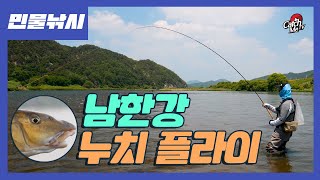 [4K] 남한강 누치 플라이 낚시 by 스틸헤더