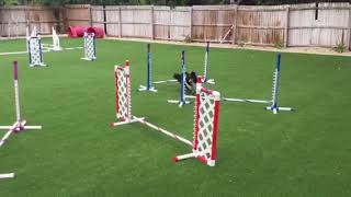 Randy Jump grid