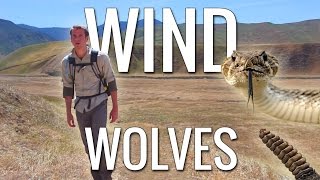Hiking Wind Wolves Preserve | SoCal Wilderness Hiking near LA