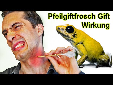 Video: Wie viel Batrachotoxin kann dich töten?