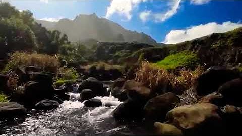 تلاوة خاشعة للقارئ وهابي عبد الغني سبحان من رزقه هدا الصوت