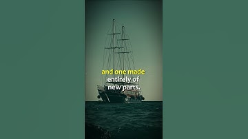 Philosophical Puzzle: The Ship of Theseus #philosophy #thoughtexperiment #shorts