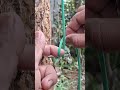 daily life hacks with rope 🪢 #shorts #viral #challenge #ytshorts