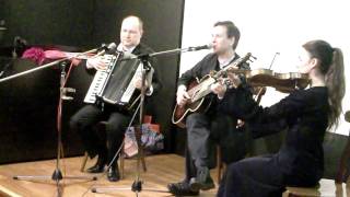 Video thumbnail of "Blunz'n & Leberwurscht - Trio Alt Wien"