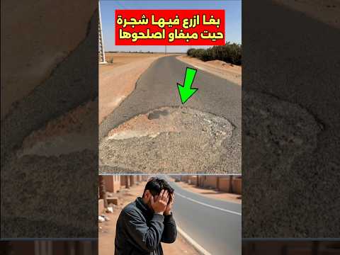 مواطن مبغاو اصلحو حفرة فالطريق وفكر ادير فيها شجرة حفرة طريق اصلاح شجرة