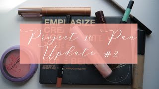 PROJECT 10 PAN | UPDATE #2