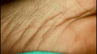Giantess Feet Worship