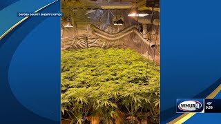 More than 1,600 marijuana plants found in Dixville, Maine home, authorities say