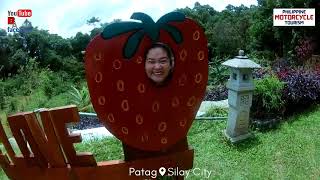 Kuyong Farm (Strawberry Farm) - Brgy. Patag, Silay City